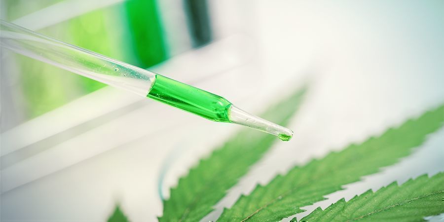 Wie Wirken Terpenoide? Wie wirken Terpenoide?