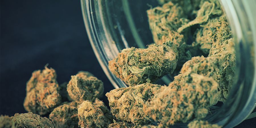 Terpenoide Terpenoide