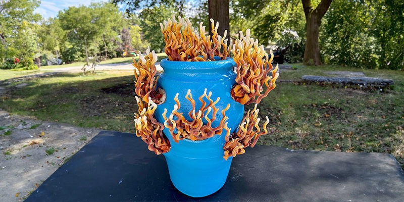 Von Der Macht Der Pilze: Wie Pilze Die Welt Zum Besseren Verändern Von Der Macht Der Pilze: Wie Pilze Die Welt Zum Besseren Verändern