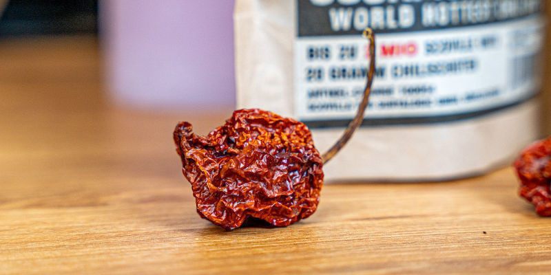 Lass Die Chilis In Dein Leben! Lass Die Chilis In Dein Leben!