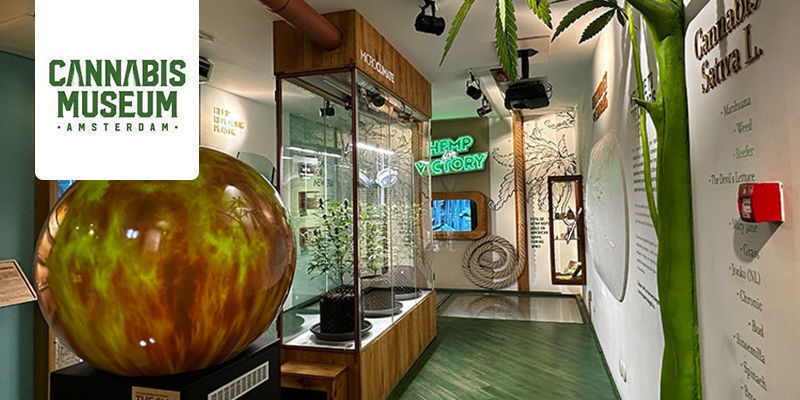 Museo del cannabis - Ámsterdam, Países Bajos