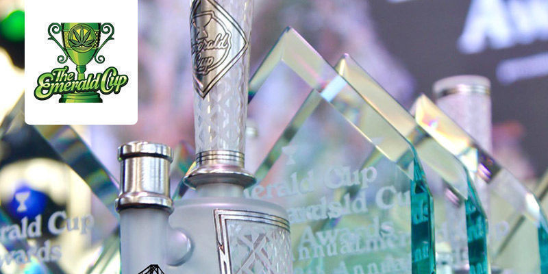 Emerald Cup – Kalifornien, USA