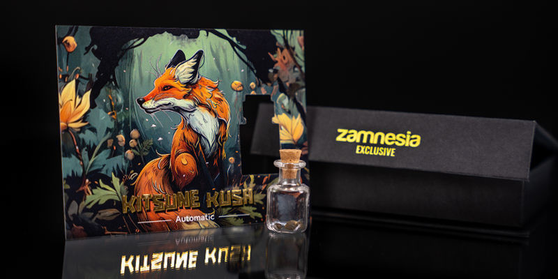 Rang 1 – Scouting Fox: Kitsune Kush Auto Rang 1 – Scouting Fox: Kitsune Kush Auto