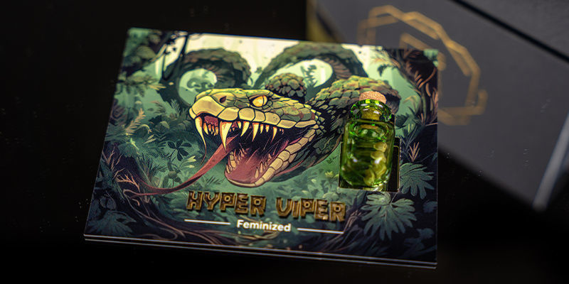 Rang 2 – Rising Cobra: Hyper Vyper Rang 2 – Rising Cobra: Hyper Vyper