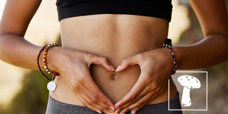 Was Bewirken Pilze Im Körper?