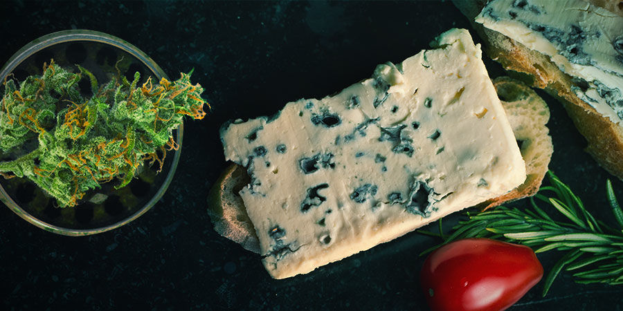 Blue Cheese: Aroma Und Wirkung BLUE CHEESE: AROMA UND WIRKUNG