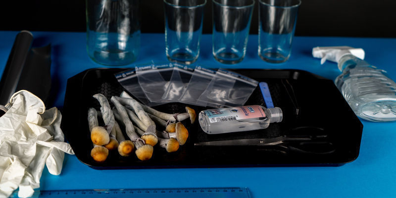 Wie Man Einen Sporenabdruck Nimmt Wie man einen Sporenabdruck nimmt