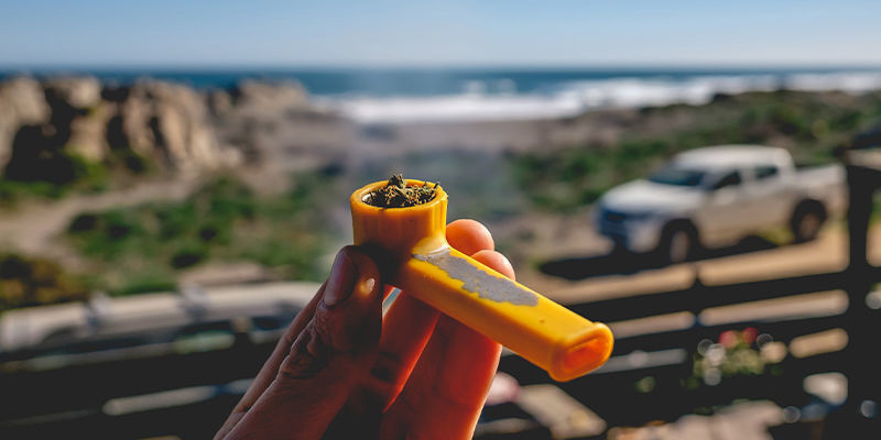 Reiseziel: Cannabisfachgeschäfte – Eine einzigartige Attraktion Reiseziel: Cannabisfachgeschäfte – Eine einzigartige Attraktion