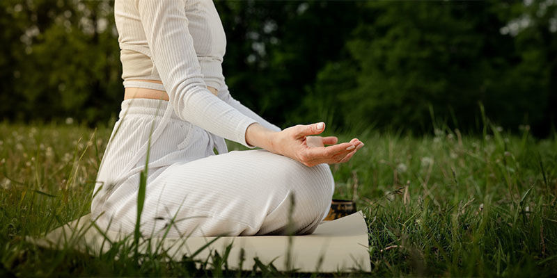 Biohacking und Pilze