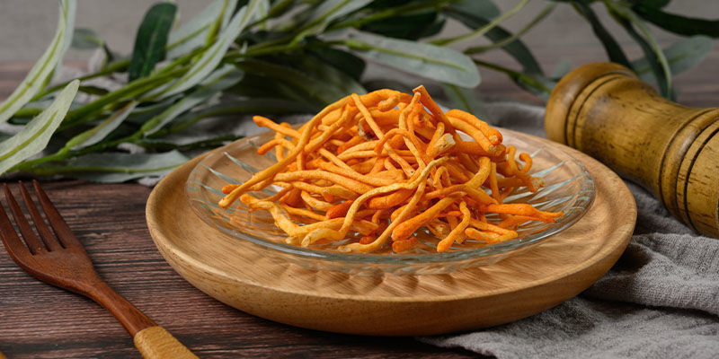 Biohacking mit Vitalpilzen