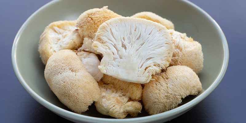 Die kognitiven und körperlichen Nutzen von Vitalpilzen