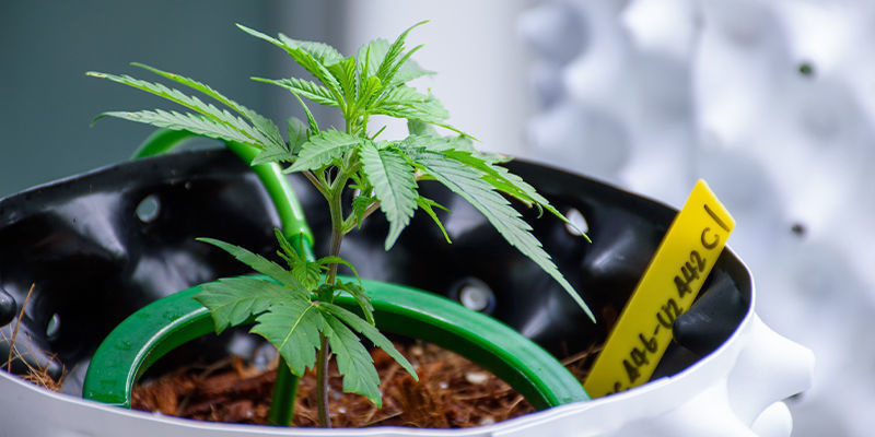 Bestandsverwaltung und Bedarfsprognose