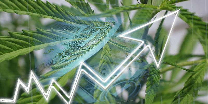 Was hat KI der Cannabisbranche zu bieten?