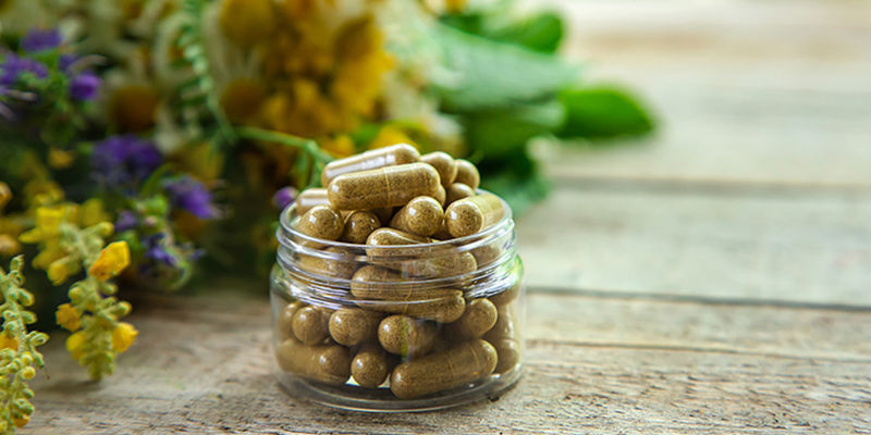 Katzenminze in Kräuterheilmitteln