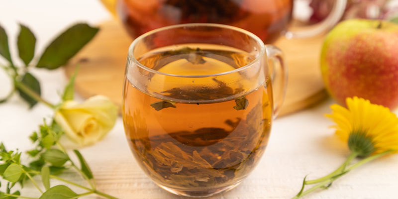 Katzenminze-Tee trinken