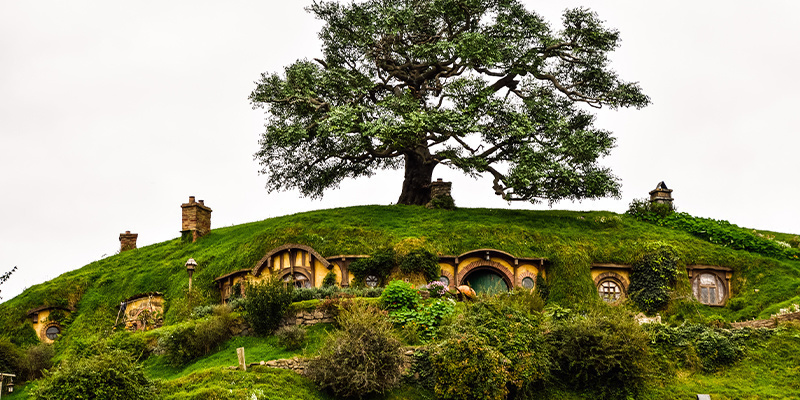 Langgrundblatt in „Der Herr der Ringe“: Wir wünschten, es wäre Weed!