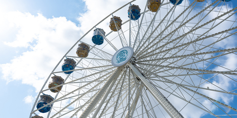 Das Zamnesia-Erlebnis