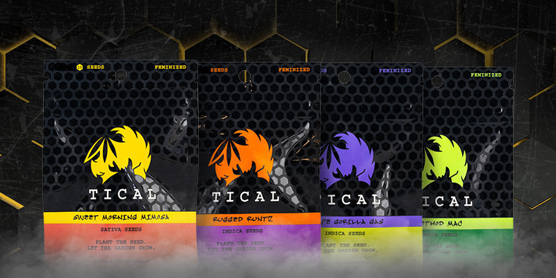 Lerne die exklusiven TICAL-Sorten kennen