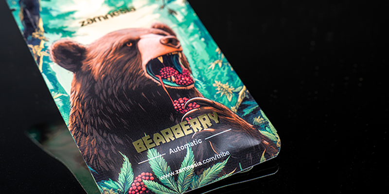 Rang 4: Bearberry Automatic (Zamnesia Seeds)