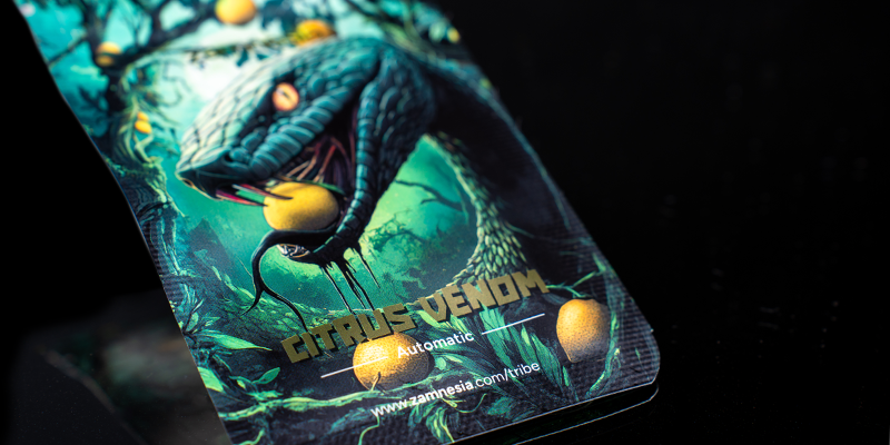 Rang 2: Citrus Venom Automatic (Zamnesia Seeds)