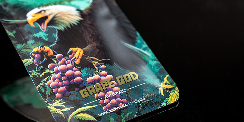 Rang 5: Grape God Automatic (Zamnesia Seeds)