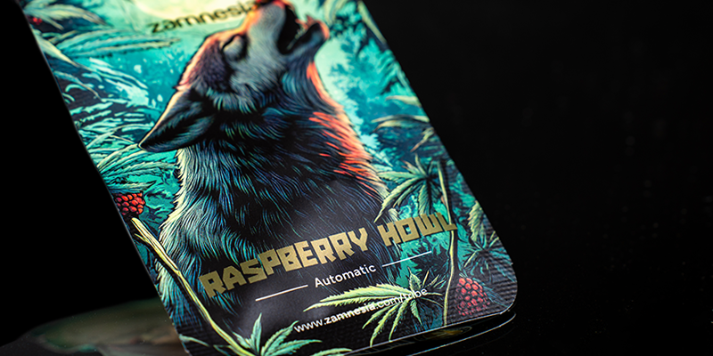 Rang 3: Raspberry Howl Automatic (Zamnesia Seeds)