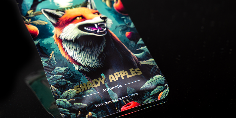 Rang 1: Shady Apples Automatic (Zamnesia Seeds)