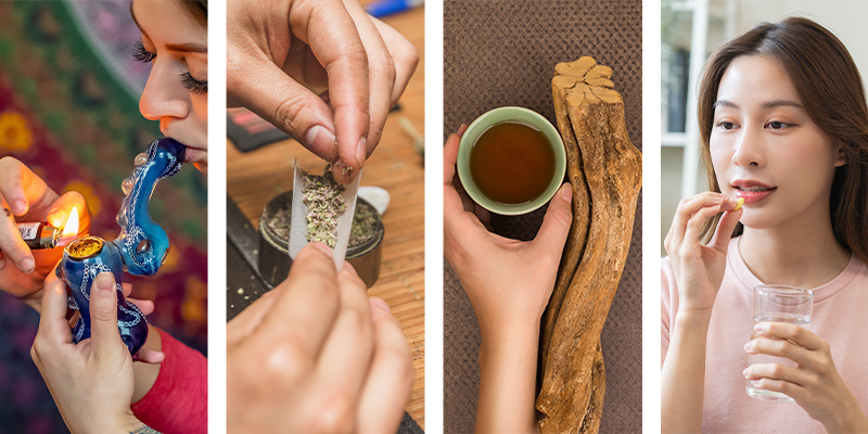 Wie wird DMT konsumiert?