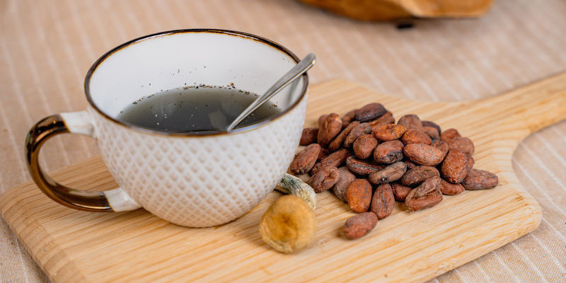 Anleitung: Ein Selbstgemachtes Magic-Mushroom- Und Kakaogetränk (Chocolātl) Zubereiten Anleitung: Ein Selbstgemachtes Magic-Mushroom- Und Kakaogetränk (Chocolātl) Zubereiten