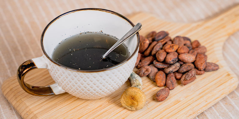 Pilze Und Kakao – Das Psychedelische Duo Der Alten Azteken Pilze Und Kakao – Das Psychedelische Duo Der Alten Azteken