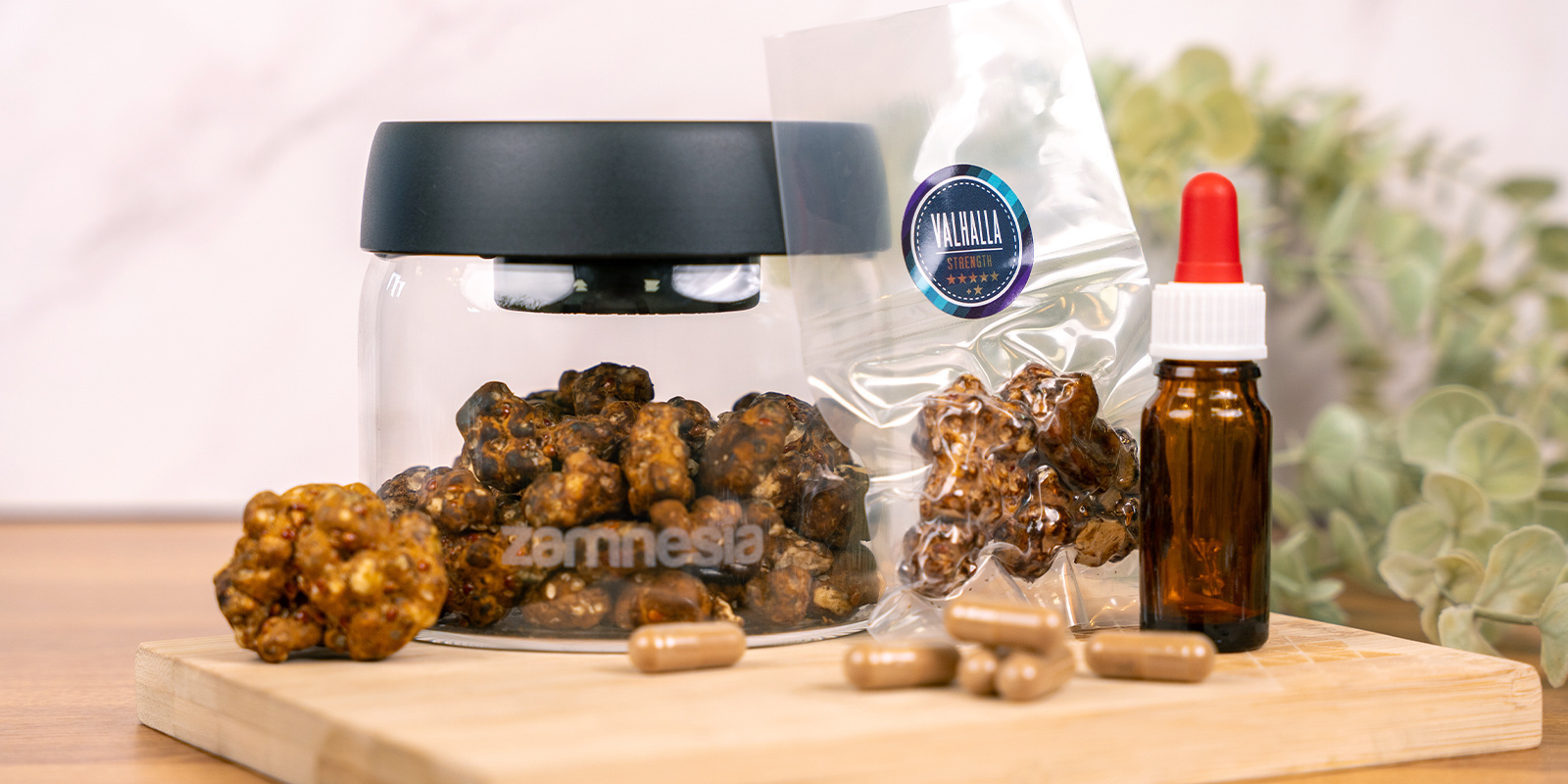 Trüffel trocknen für verschiedene Verwendungsformen (Kapseln, Tinkturen und mehr)