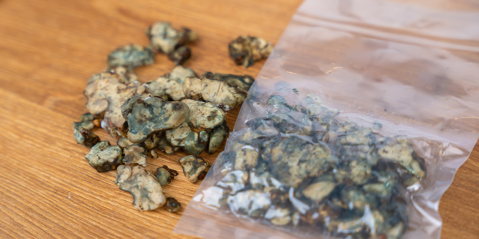 Woran erkennt man, ob Zaubertrüffel verdorben sind?