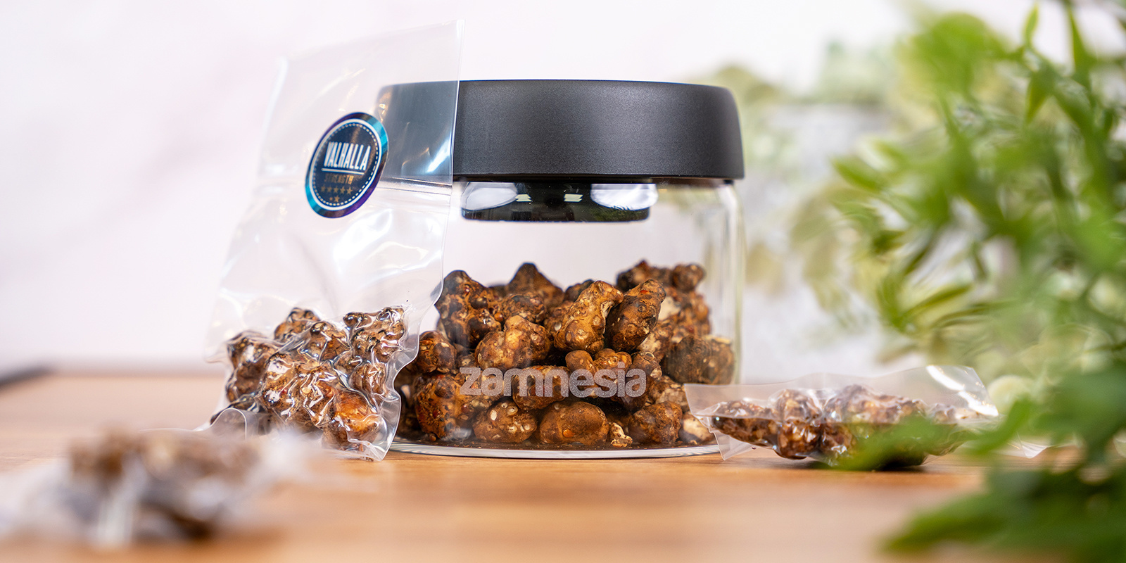 Warum die richtige Lagerung von Magic Truffles wichtig ist