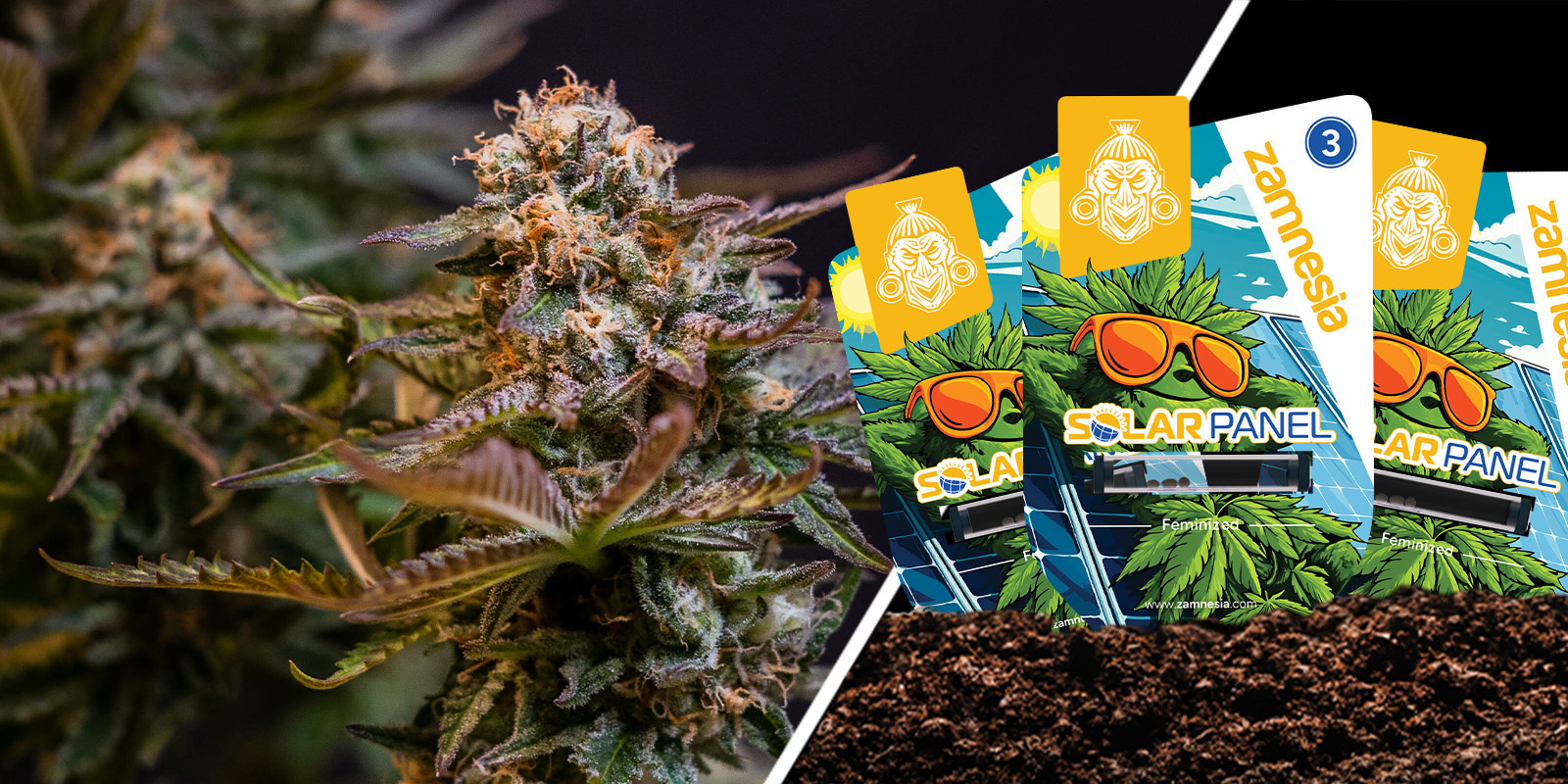 Solar Panel: Süße Zitrus-Power Tag und Nacht