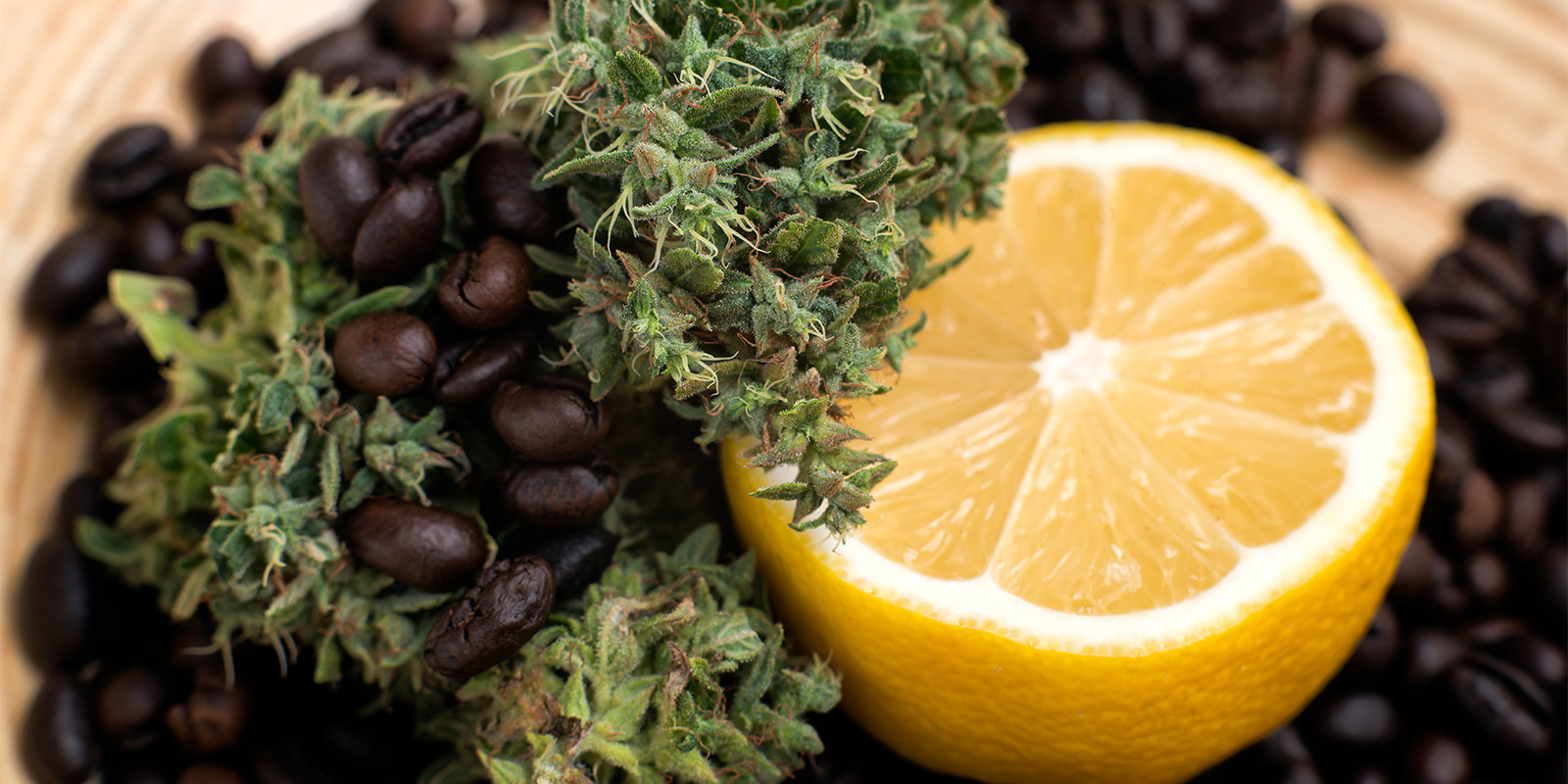 Was liegt jenseits von Sector Z?