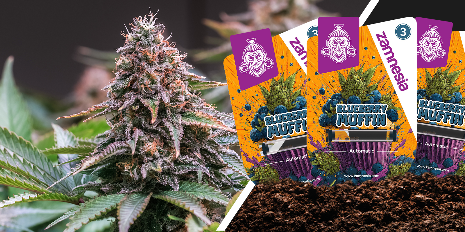 Blueberry Muffin: Beerens&uuml;&szlig;e in jedem Kr&uuml;mel