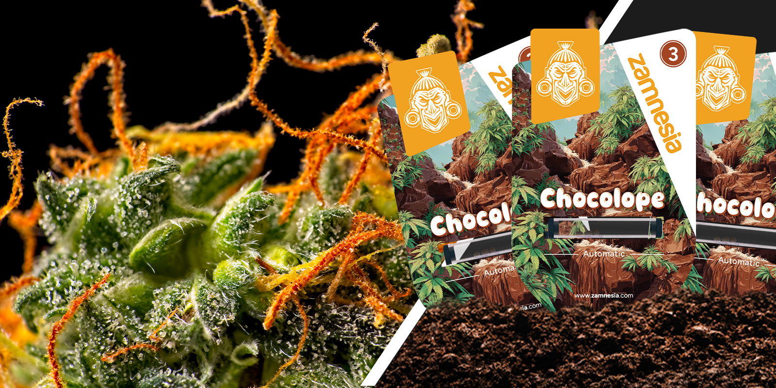 Chocolope: Nostalgische Vibes mit Schoko-Twist