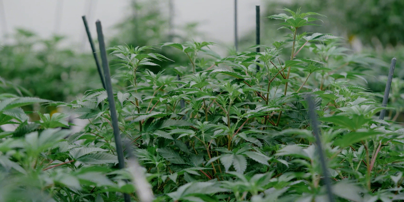 Ein neues Kapitel Ein neues Kapitel