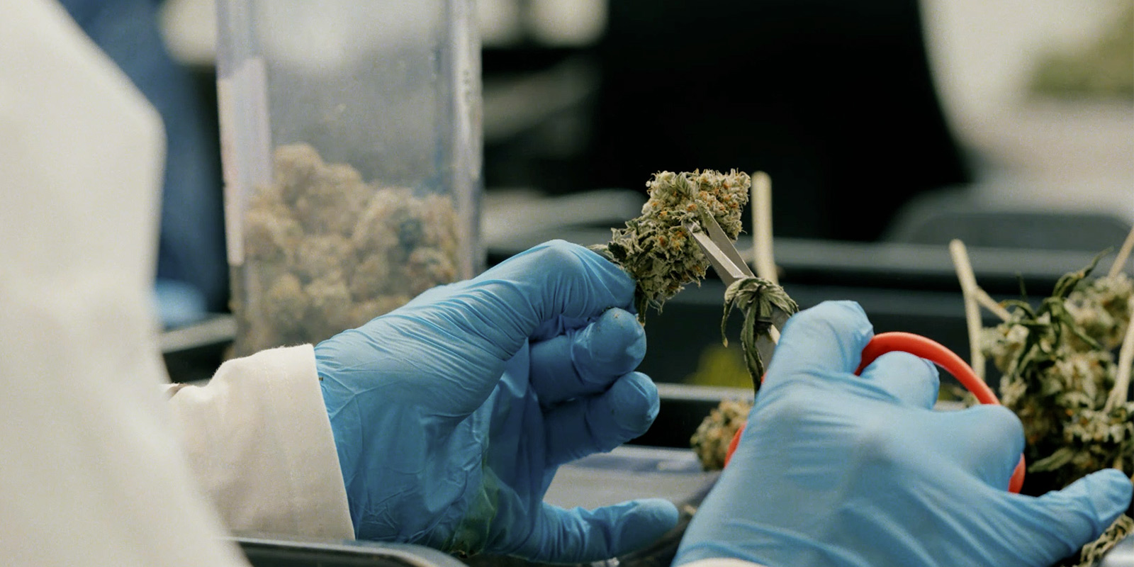 Auswirkungen auf die Community und die Zukunft Auswirkungen auf die Community und die Zukunft