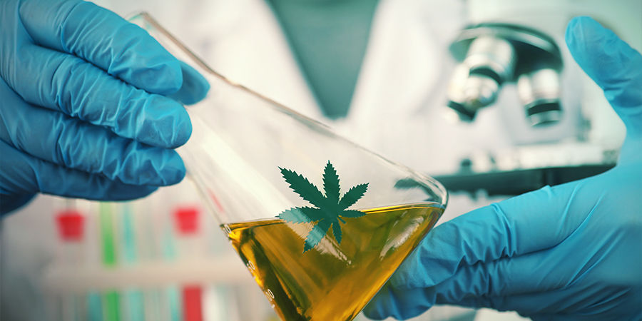 Autoflowers Werden Immer Besser Autoflowers werden immer besser