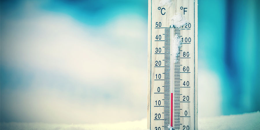Autoflowering Cannabis Ist Widerstandsfähig Autoflowering Cannabis ist widerstandsfähig