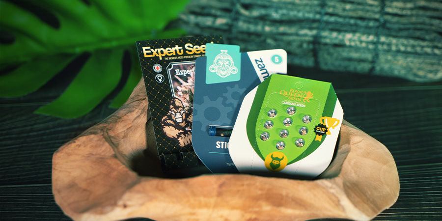 Autoflowering Genetik: Dies Ist Erst Der Anfang Autoflowering Genetik: Dies ist erst der Anfang