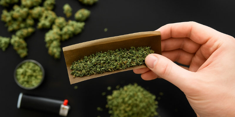 CBD-Blüten (am beliebtesten) CBD-Blüten (am beliebtesten)