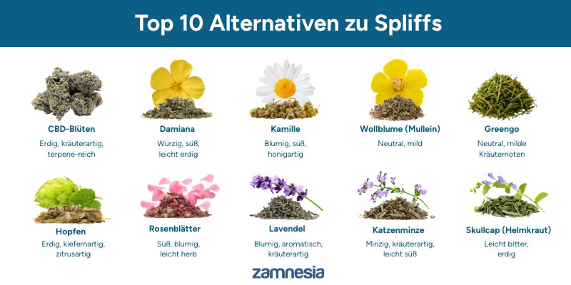 Visual Guide: Die 10 besten Tabakersatzstoffe im Vergleich