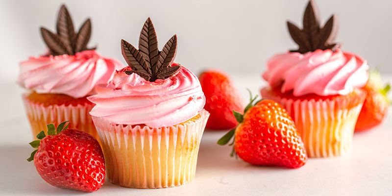 Warum Cannabis-Edibles Intensiver Wirken Warum Cannabis-Edibles Intensiver Wirken