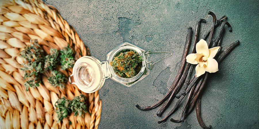 MOBY DICK: AROMA UND WIRKUNG