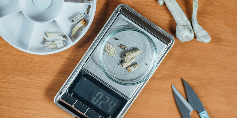 Das passende Psychedelikum und die richtige Dosierung wählen Das passende Psychedelikum und die richtige Dosierung wählen