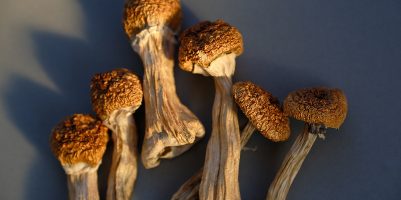 Eine angenehme Umgebung schaffen Eine angenehme Umgebung schaffen