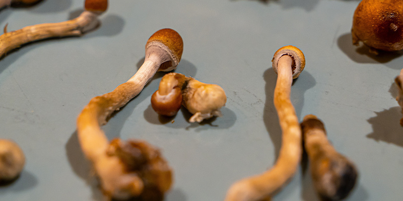 Mit schwierigen Erfahrungen und schlechten Trips richtig umgehen Mit schwierigen Erfahrungen und schlechten Trips richtig umgehen