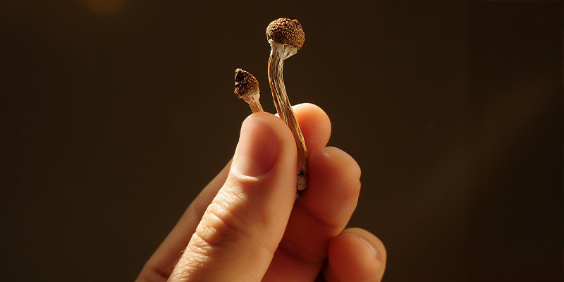 Nach dem Trip reflektieren Nach dem Trip reflektieren